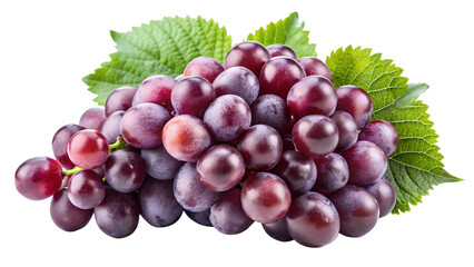 Obraz premium PNG transparent Freshly harvested dark purple grapes on green leaves showcasing their natural beauty and ripeness
