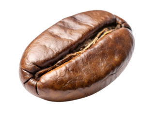 PNG transparent	Close up of a dark roasted coffee bean showcasing its rich texture and natural oil sheen under soft lighting