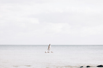 Obraz premium Early morning sunrise over the sea . Some clouds.