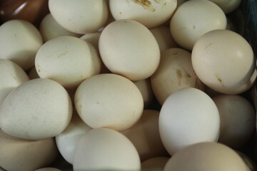 eggs in the market