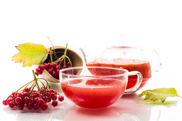 tea from ripe red viburnum isolated on white background