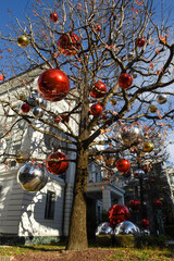 Two gigant christmas trees in front of a house at Lugano on Switzerland