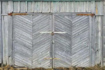Texture of door leaf, gate