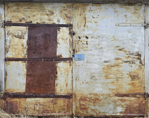 Texture of door leaf, gate