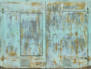 Texture of door leaf, gate