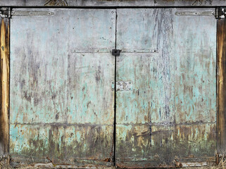 Texture of door leaf, gate