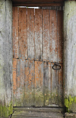  Texture of door leaf, gate