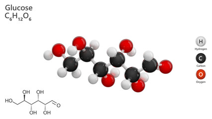 Molecule: Glucose. Simple sugar. Molecular structure. Formula: C6H12O6. Chemical model: Ball and stick. White background. 3D illustration