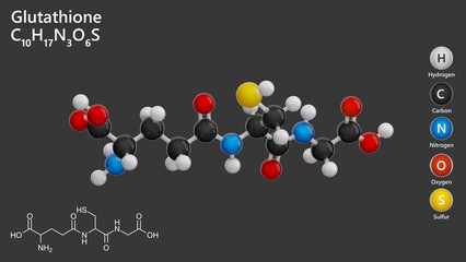 Molecule: Glutathione. Antioxidant. Molecular structure. Formula: C10H17N3O6S. Chemical model: Ball and stick. Gray background. 3D illustration.