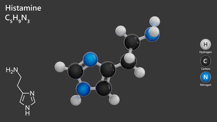 Molecule: Histamine. Stimulant of gastric secretion. Molecular structure. Formula: C5H9N3. Chemical model: Ball and stick. Gray background. 3D illustration.