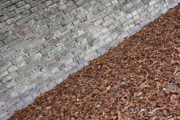 Brick wall and dry leaves
