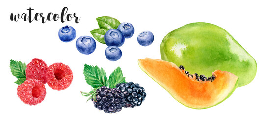Hand-Painted Watercolor Papaya and Berries Blueberry, Blackberry, Raspberry. Botanical Illustration Isolated on White