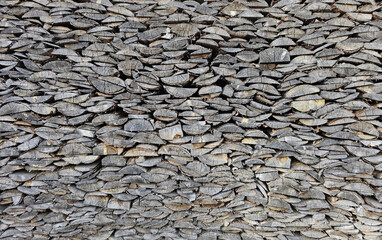 Texture of wall, surface