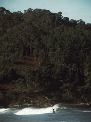 A person surfs a wave on the northern beach with the forest and rocks in the background. 