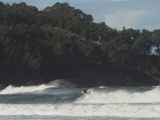 A person surfs a wave on the northern beach with the forest and rocks in the background. 