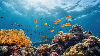 Naklejka premium Vibrant Coral Reef Underwater Paradise: A Stunning Ocean Scene
