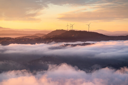 Herbstlicher Nebelmorgen im Schwarzwald