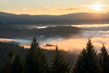 Herbstlicher Nebelmorgen im Schwarzwald