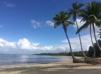 Serene Tropical Beach in Las Terrenas, Dominican Republic!