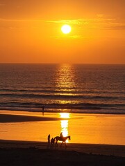 Fototapeta premium sunset on the beach