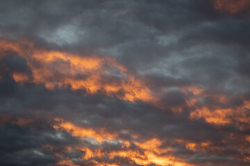 Fototapeta premium clouds in the sky