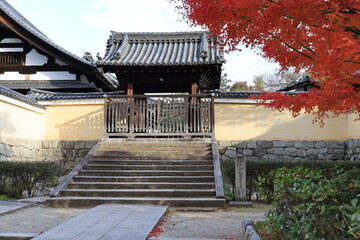 A Japanese temple : a scene of the precincts of Kennin-ji Temple in Kyoto City
