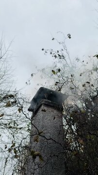 fumo denso che esce da un comignolo circondato da vegetazione invernale