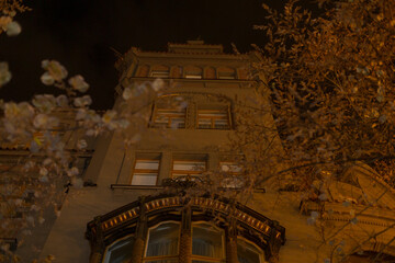As I gaze upwards at a tall building illuminated at night, a tree stands quietly in the foreground,...