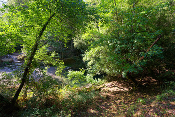 Obraz premium Forest path to Fiuminale village along the Petrignani river in Corsica mountain