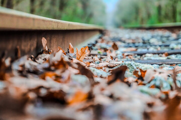 Train Tracks 