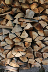 Stack of wood logs by Lykershausen - Rheinsteig - between Saint Goarshausen and Kamp-Bornhofen - Hesse - Germany