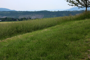 Obraz premium Fields on the Rhine plateau at Kamp-Bornhofen - Rheinsteig - Kamp-Bornhofen - Hesse - Germany