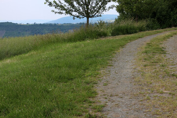 Rheinsteig track on approach to Kamp-Bornhofen - between Saint Goarshausen and Kamp-Bornhofen - Hesse - Germany
