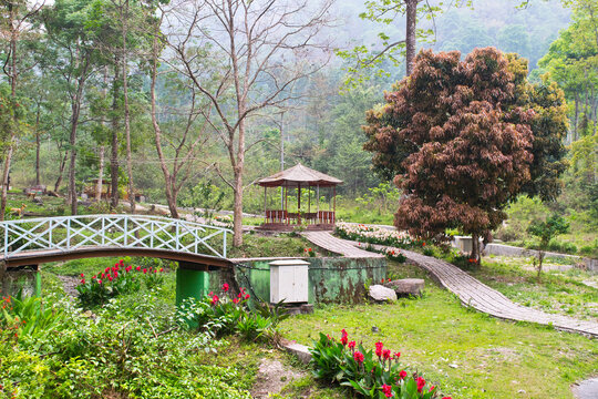 This park is called Manju Shree Park and is situated around 10 km from Mirik. 