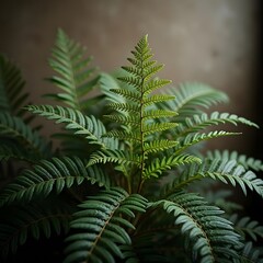 Vintage Moody Fern: A Front View Studio Scene in Muted Earthy Tones