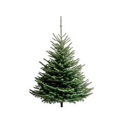 Fototapeta premium A minimalist background with a single Christmas tree, isolated on transparent background