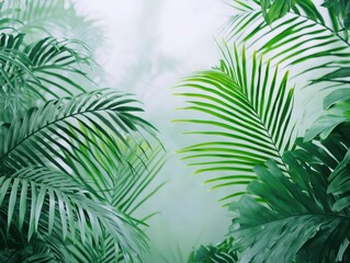 Lush Green Tropical Leaves with Soft Focus in a Misty Environment for Nature and Interior Design Use