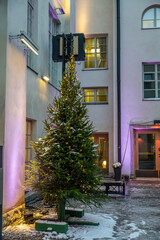 Festive Christmas tree with lights in a snowy courtyard, surrounded by illuminated buildings, creating a warm holiday ambiance