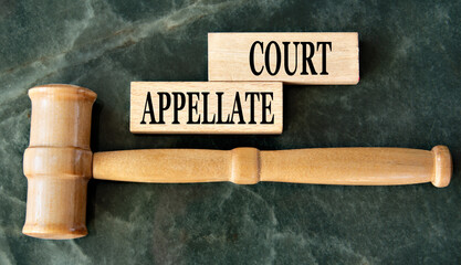 APPELLATE COURT - words on wooden blocks on a green background with a judge's gavel