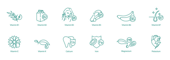 Complete Health Icon Set - B1, B2, B3, B5, B6, B7, E, K, Calcium, Iron, Magnesium, and Potassium for Balanced Nutrition