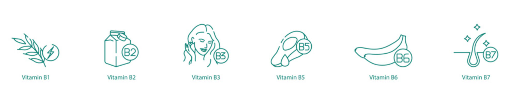 Vitamin B Complex Icon Set - B1, B2, B3, B5, B6, and B7 for Energy and Metabolism