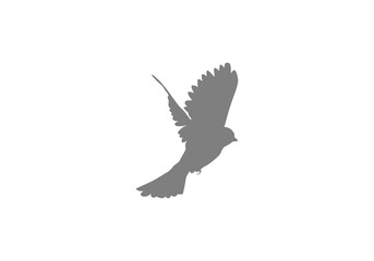 Obraz premium Flying Bird Silhouette png design template logo icon illustration