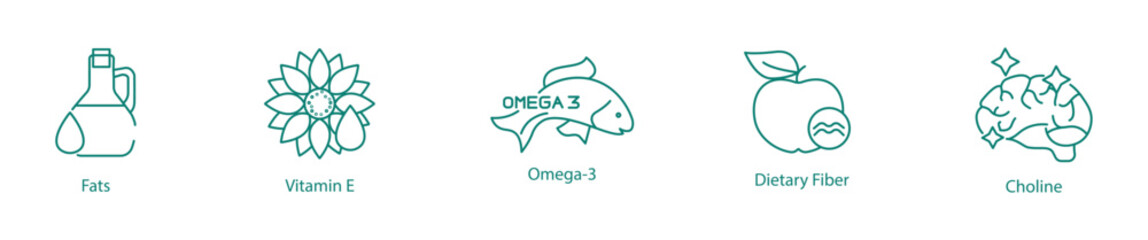 Nutrient Rich Icon Set - Fats, Vitamin E, Omega-3, Dietary Fibers, and Choline for Balanced Nutrition