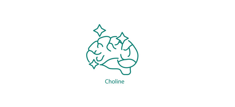 Choline Molecule Icon - Health and Nutrition Concept