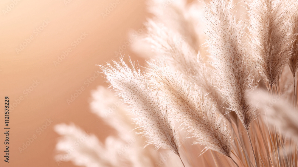 Poster close-up of lush grass illuminated by gentle sunlight, highlighting the vibrant greens and soft text