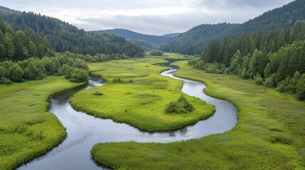 Regulatory frameworks play a crucial role in promoting environmental sustainability and protecting natural resources for future generations.