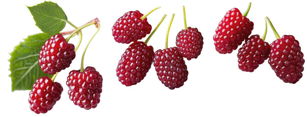 Juicy Red Raspberries Fresh Berries Healthy Food Summer Fruits Organic Produce Closeup on transparent background