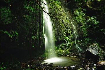Long exposure of Newton's waterfall in the forest of Akaroa in New Zealand. 