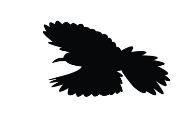 Flying Abbott's babbler Bird Silhouette Design  And Vector Illustration. 