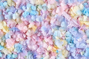 A colorful array of pastel flower petals in shades of pink, blue, and purple, creating a soft and dreamy aesthetic.